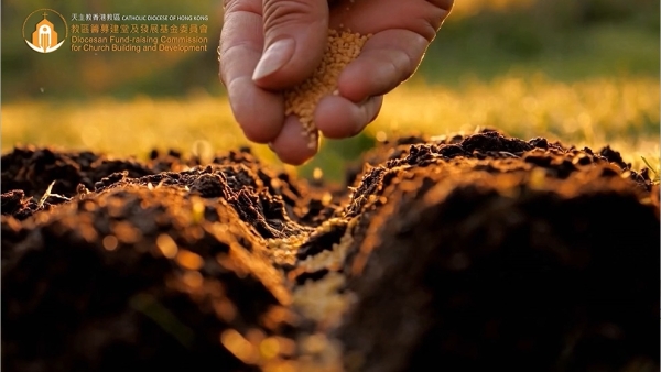 Monthly Donation: Every Seed sown brings new life