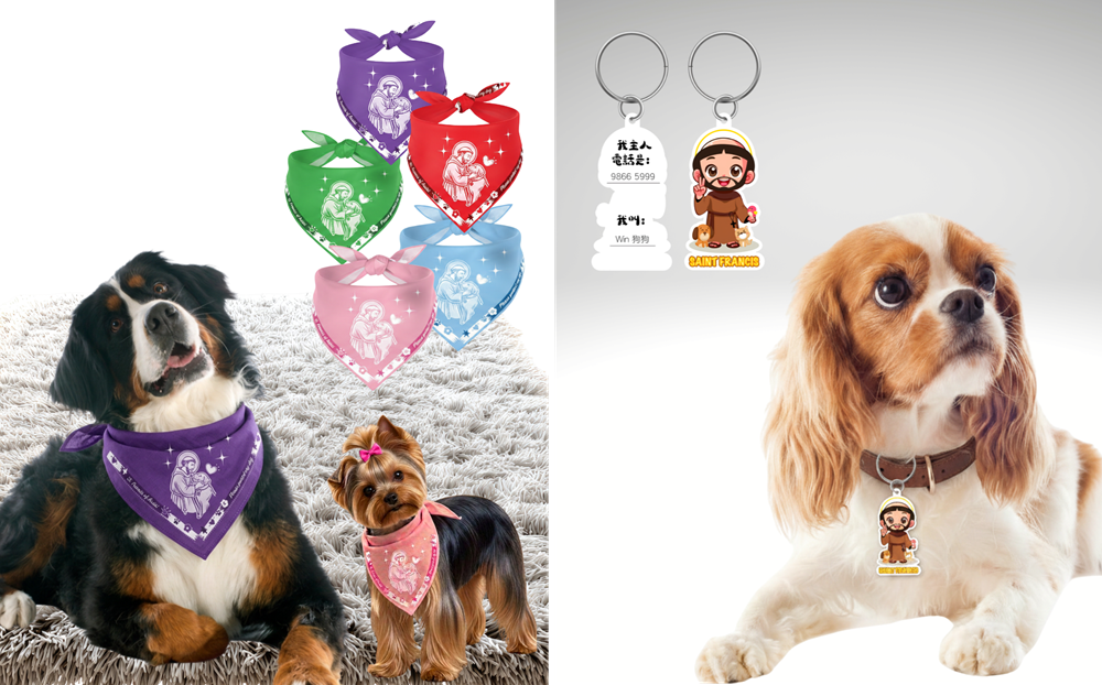 Bandana and ID Tag